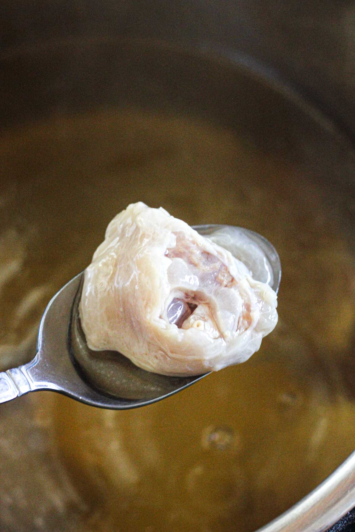 cooked soft tendon on the spoon