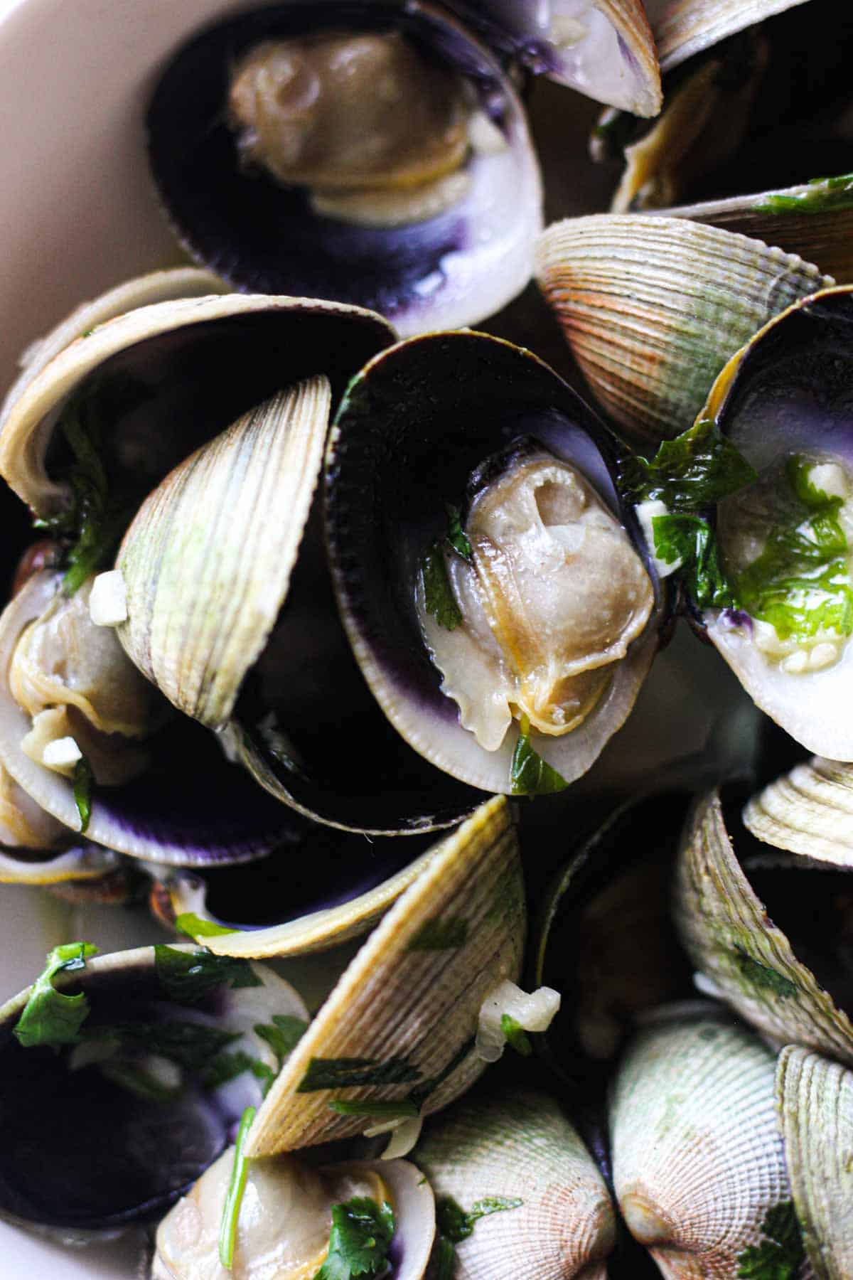 Cockles recipe with white wine and garlic butter - The Top Meal