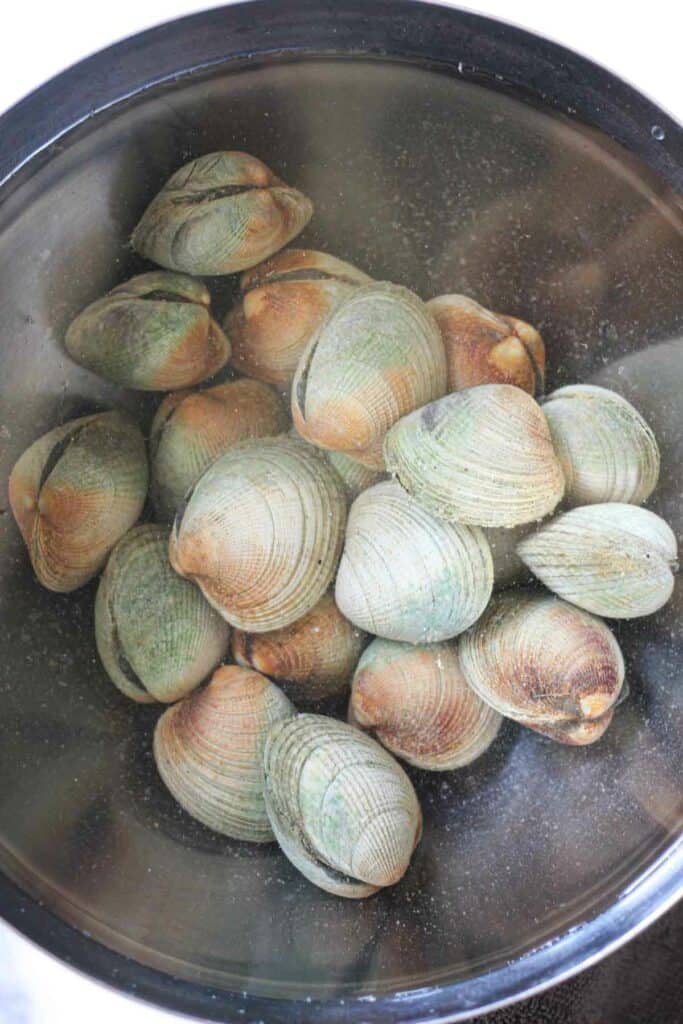 soaking cockles in a salt water in a bowl