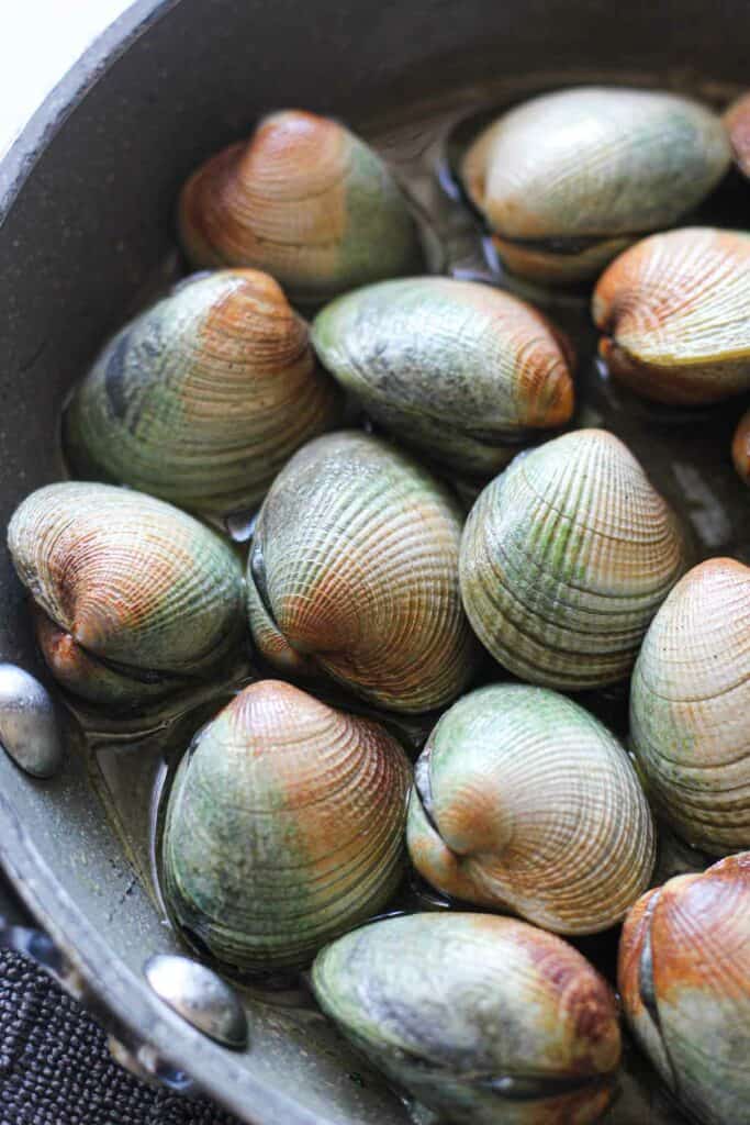 close photo of raw alive cockles before cooking