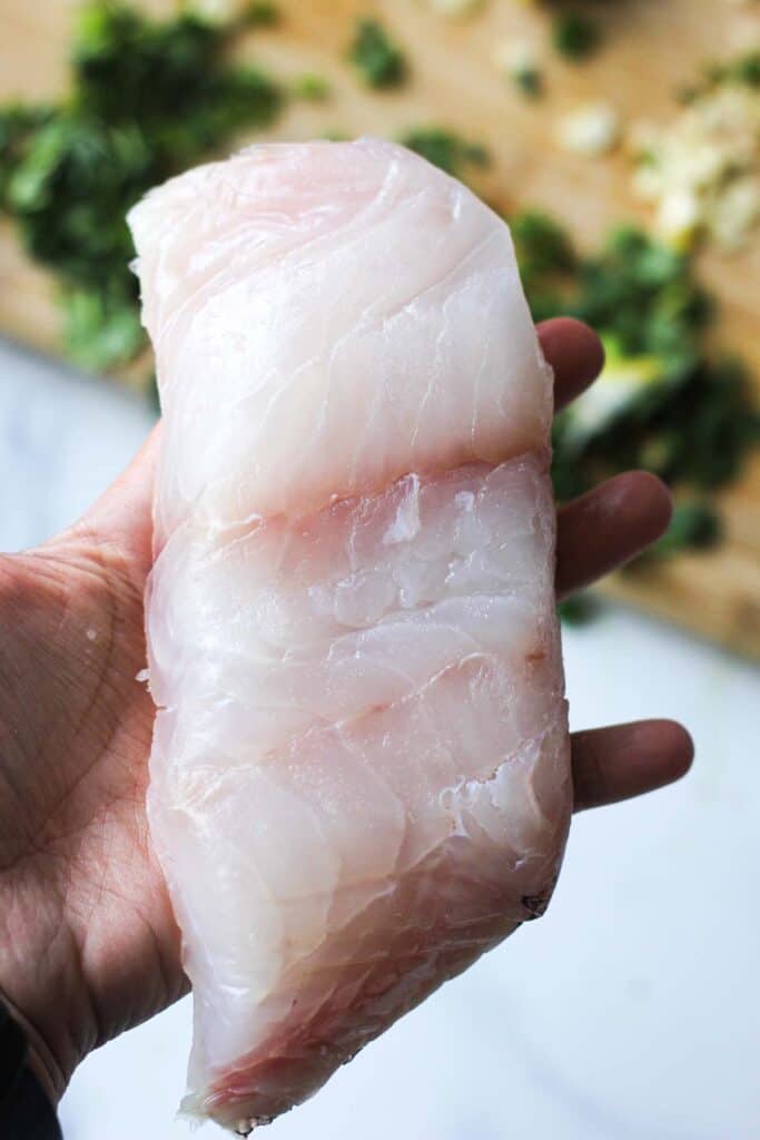 raw grouper fillet in a hand