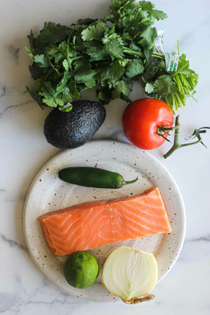 ingredients used in this recipe, salmon avocado onion, jalapeno cilantro