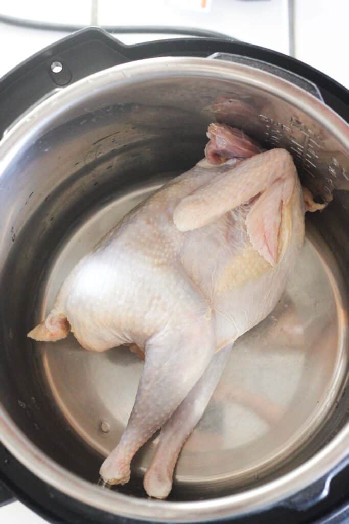 raw stewing chicken in a pot