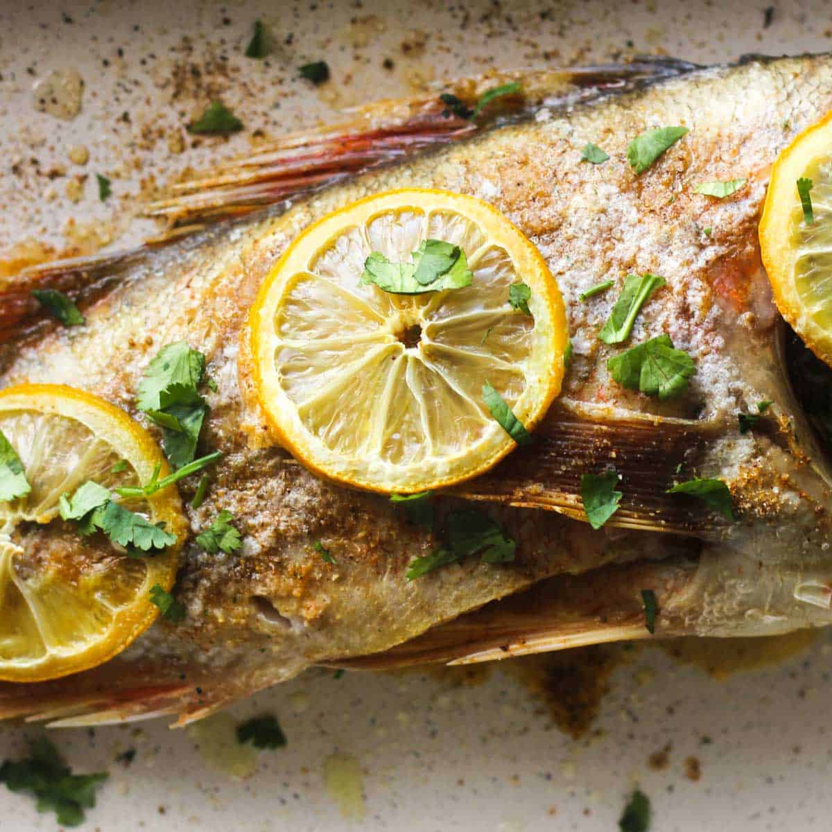 oven baked rockfish with old bay seasoning, lemon and chopped cilantro