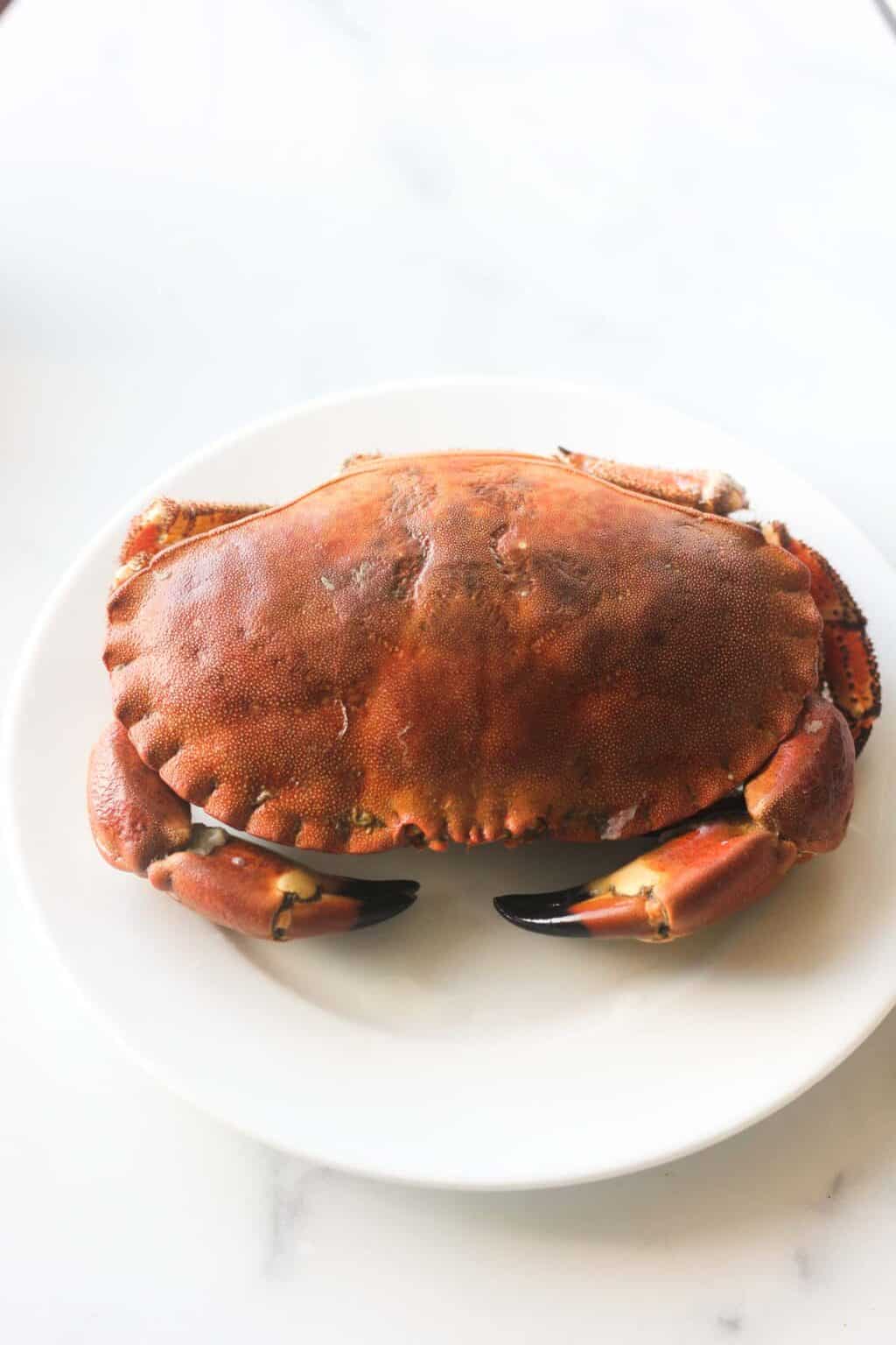 Steamed Rock Crab - The Top Meal