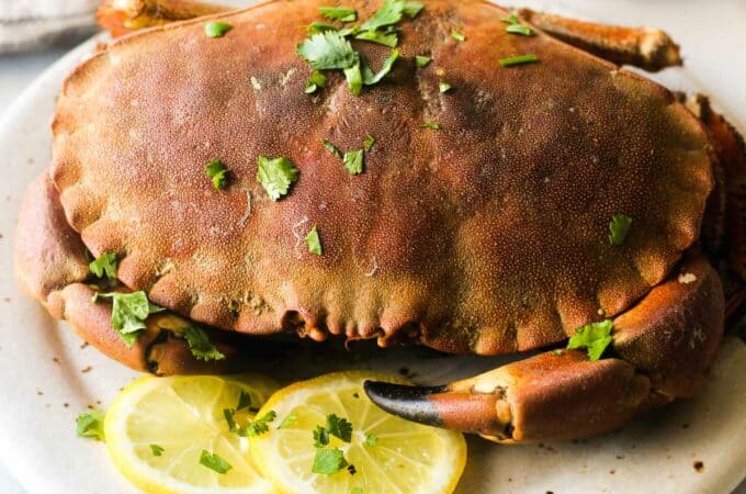 close look at crab cooked in pressure cooker steamer