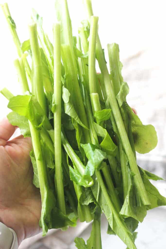 turnip greens stems after cutting all the leaves off