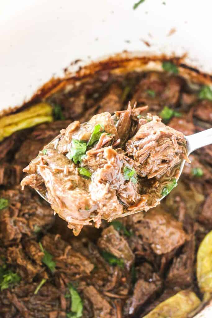 shredded london broil in slow cooker with seasoning and cilantro