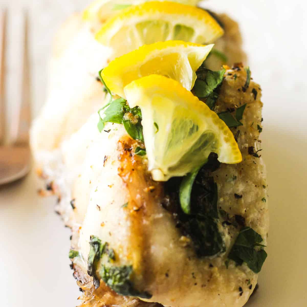 air fryer grouper fillet with seaosoning