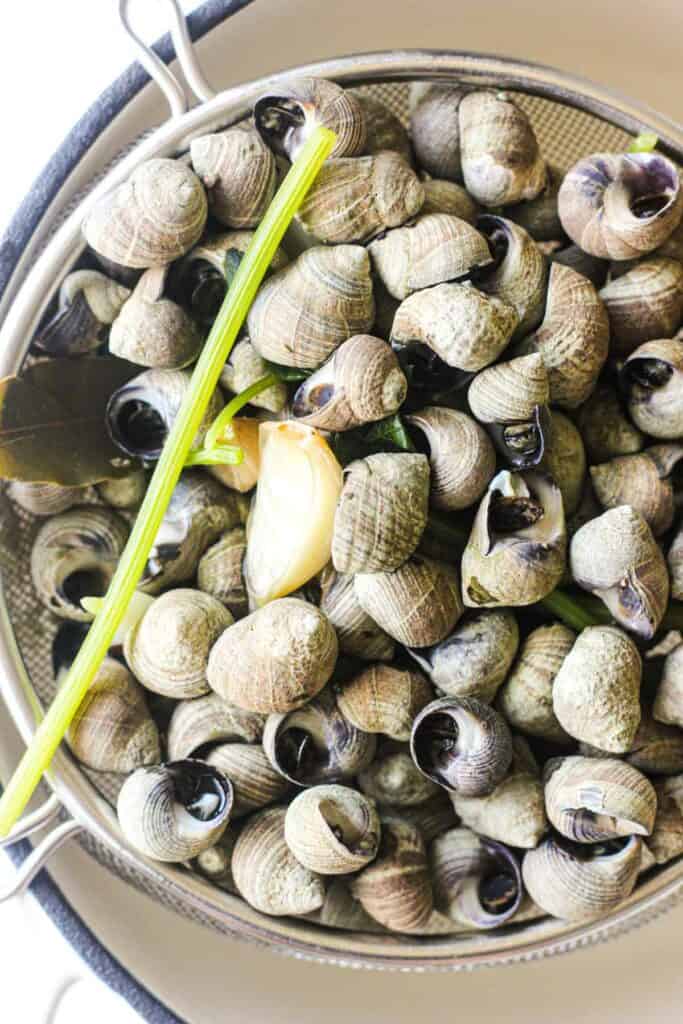 cooked sea snails in the drainer