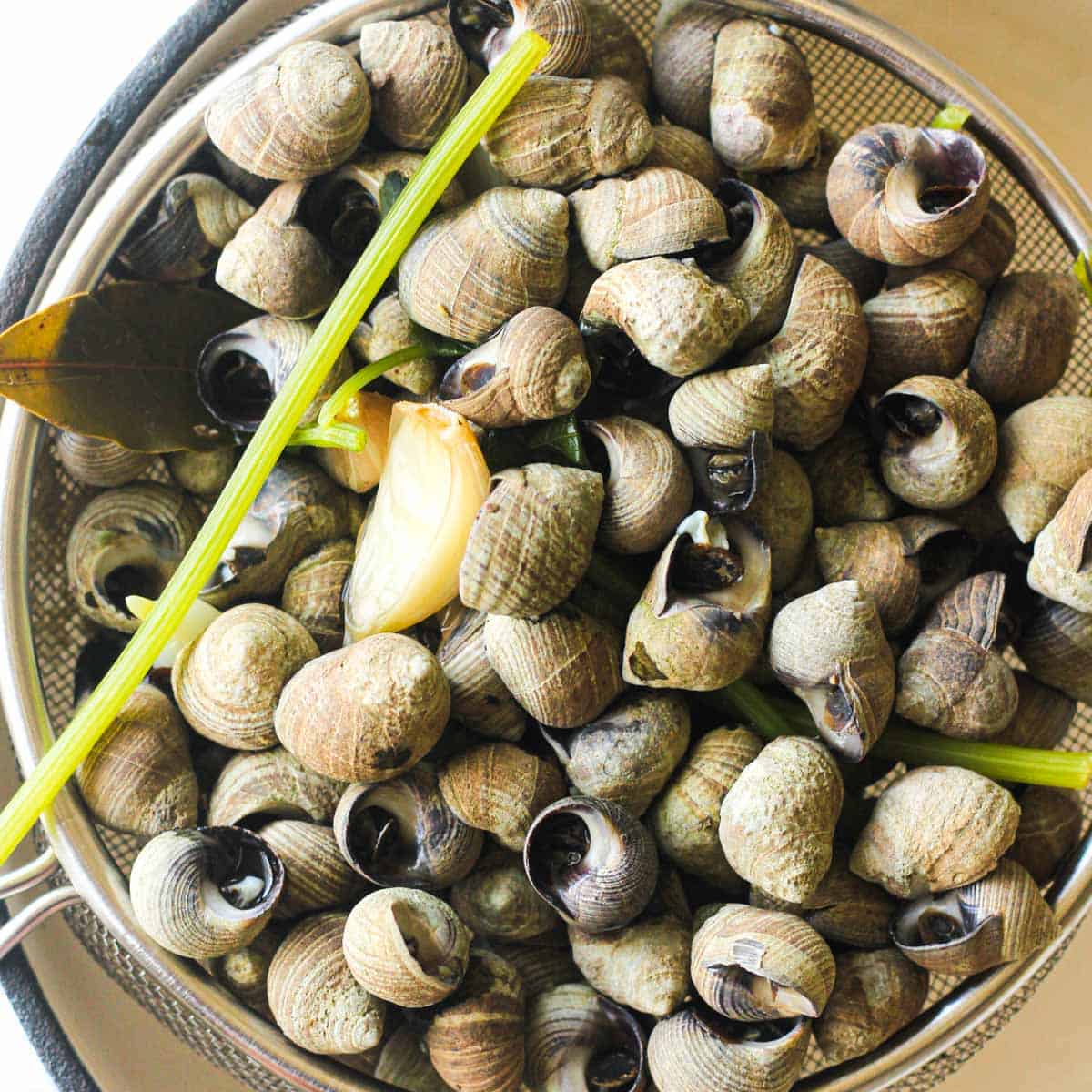 periwinkles with garlic