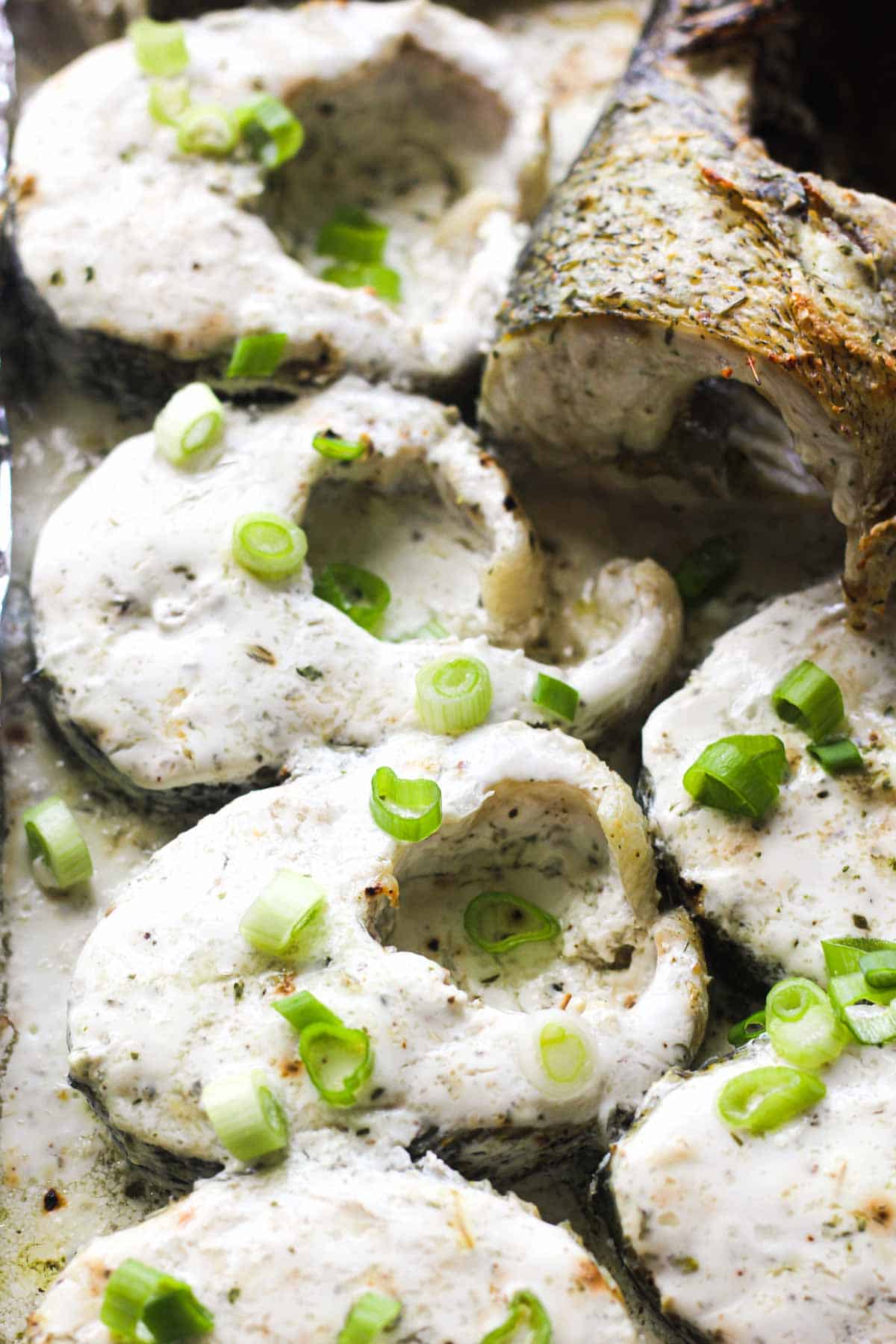 baked white fish with green onions and white sauce