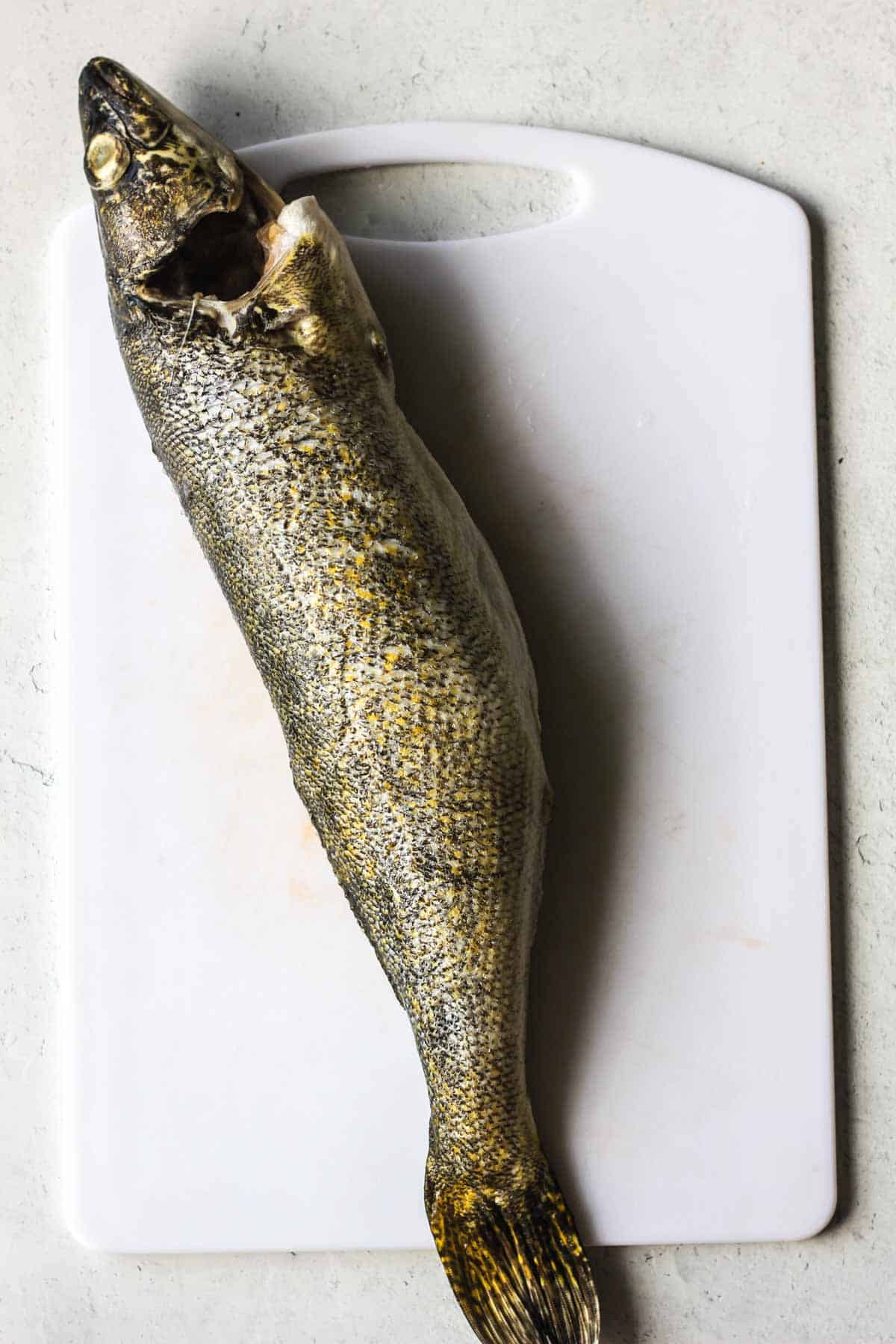 How to Clean a Pike (and Recipe)