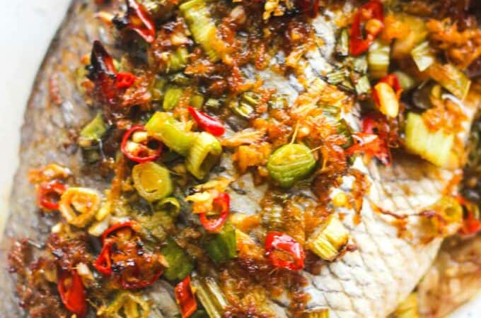 roasted baked porgy with green oinons, ginger and other spices in the baking pan