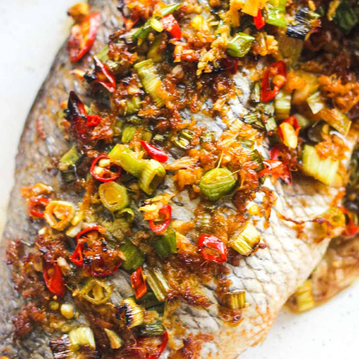 roasted baked porgy with green oinons, ginger and other spices in the baking pan