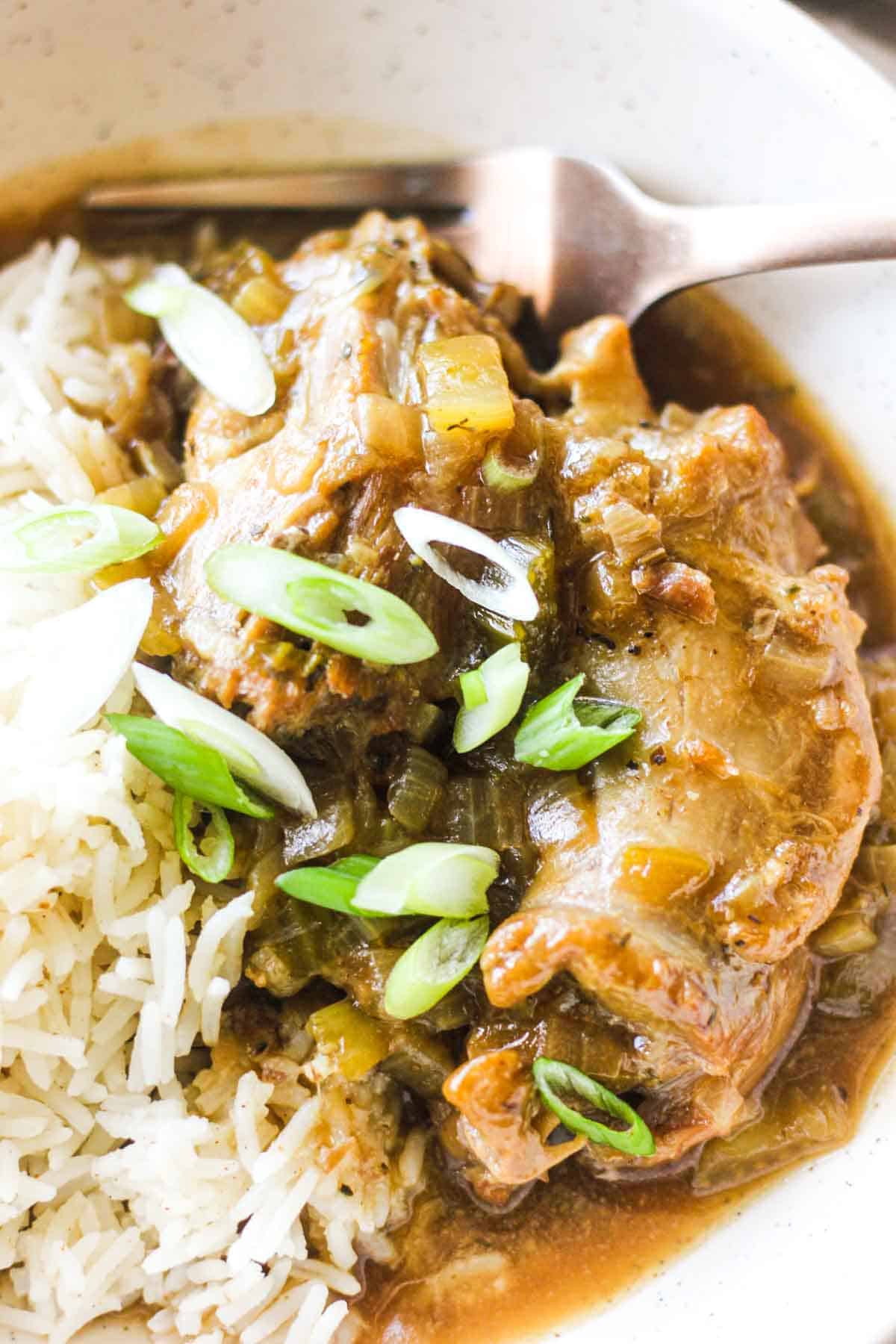 turkey necks cooked in instant pot served with rice and chopped green onions