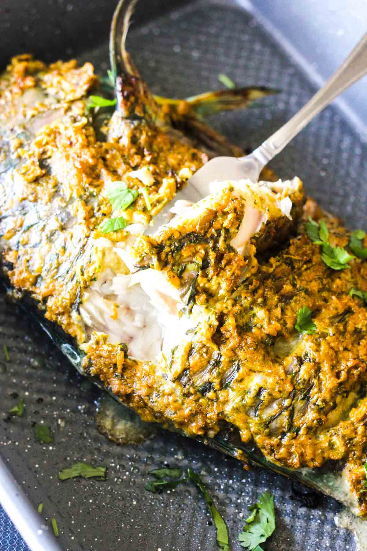 oven baked parrot fish with cilantro on top