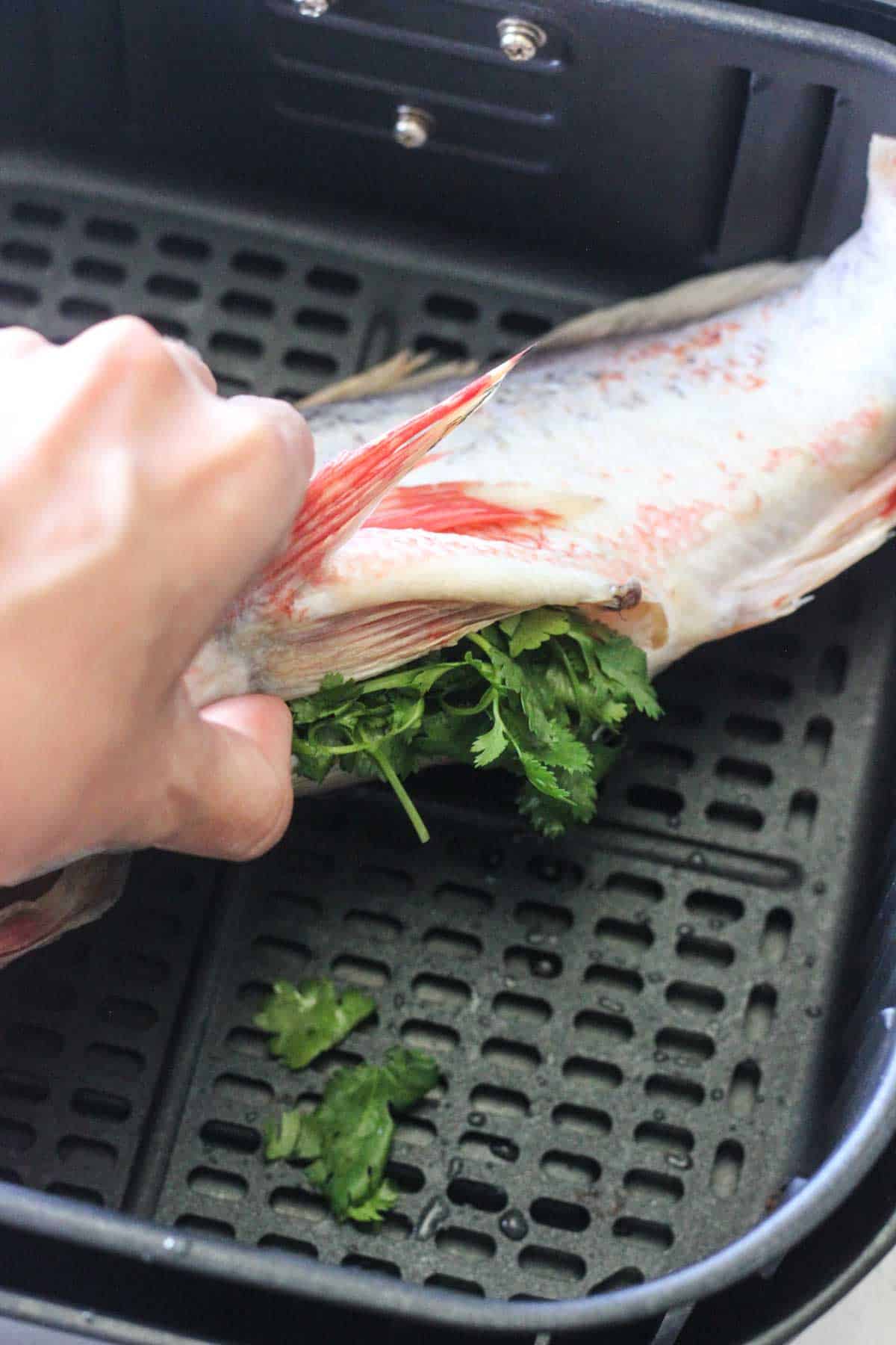 open cavity of the fish stuffed with cilantro