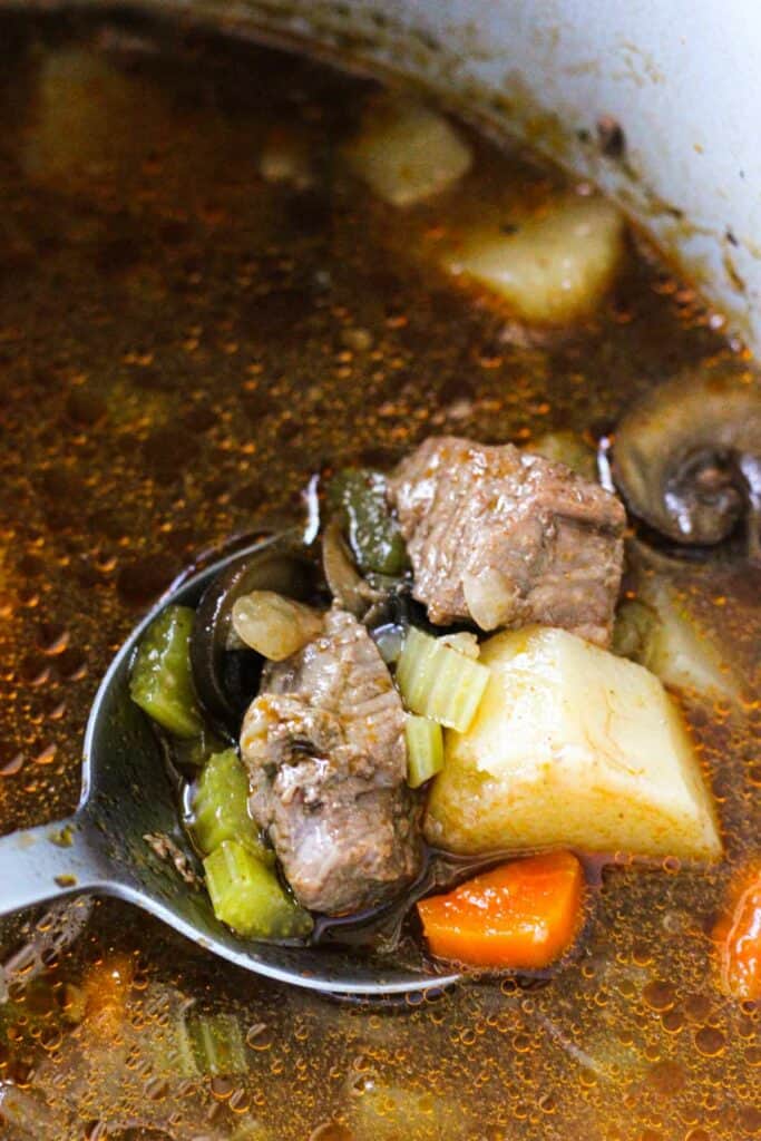 Ninja Foodi Vegetable Beef Soup The Top Meal