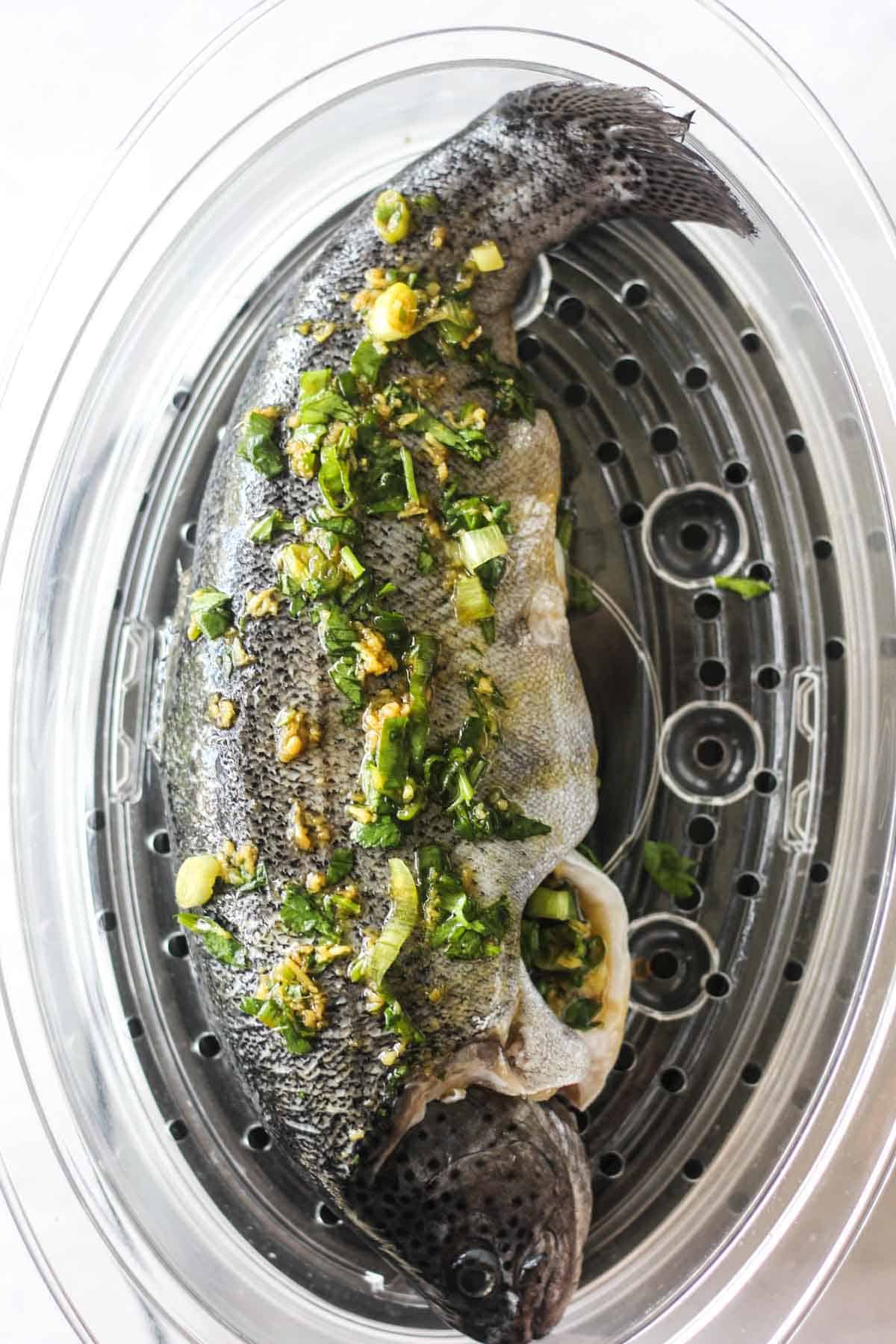 steamed rainbow trout in the electric steamer