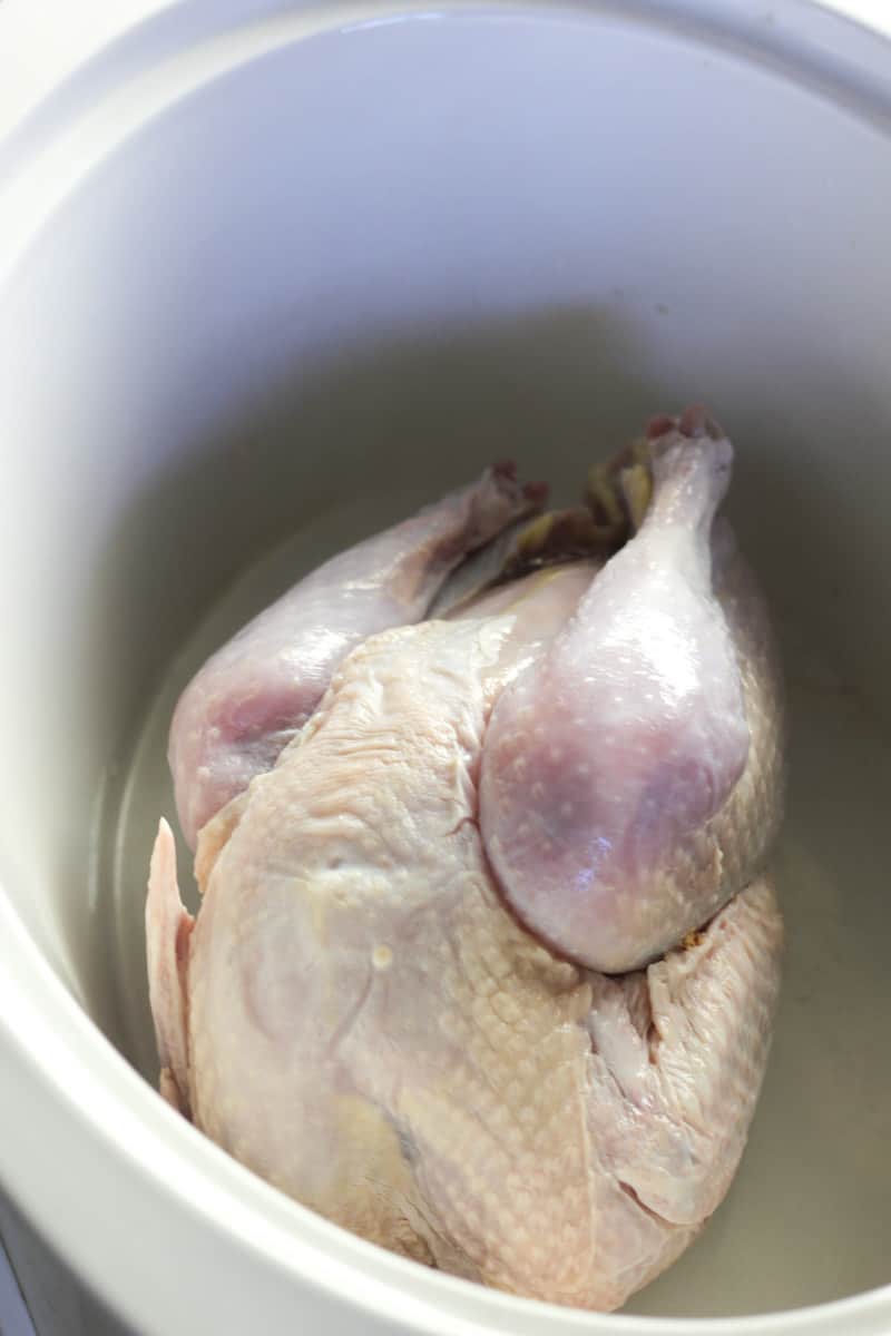 whole bird in the crock pot