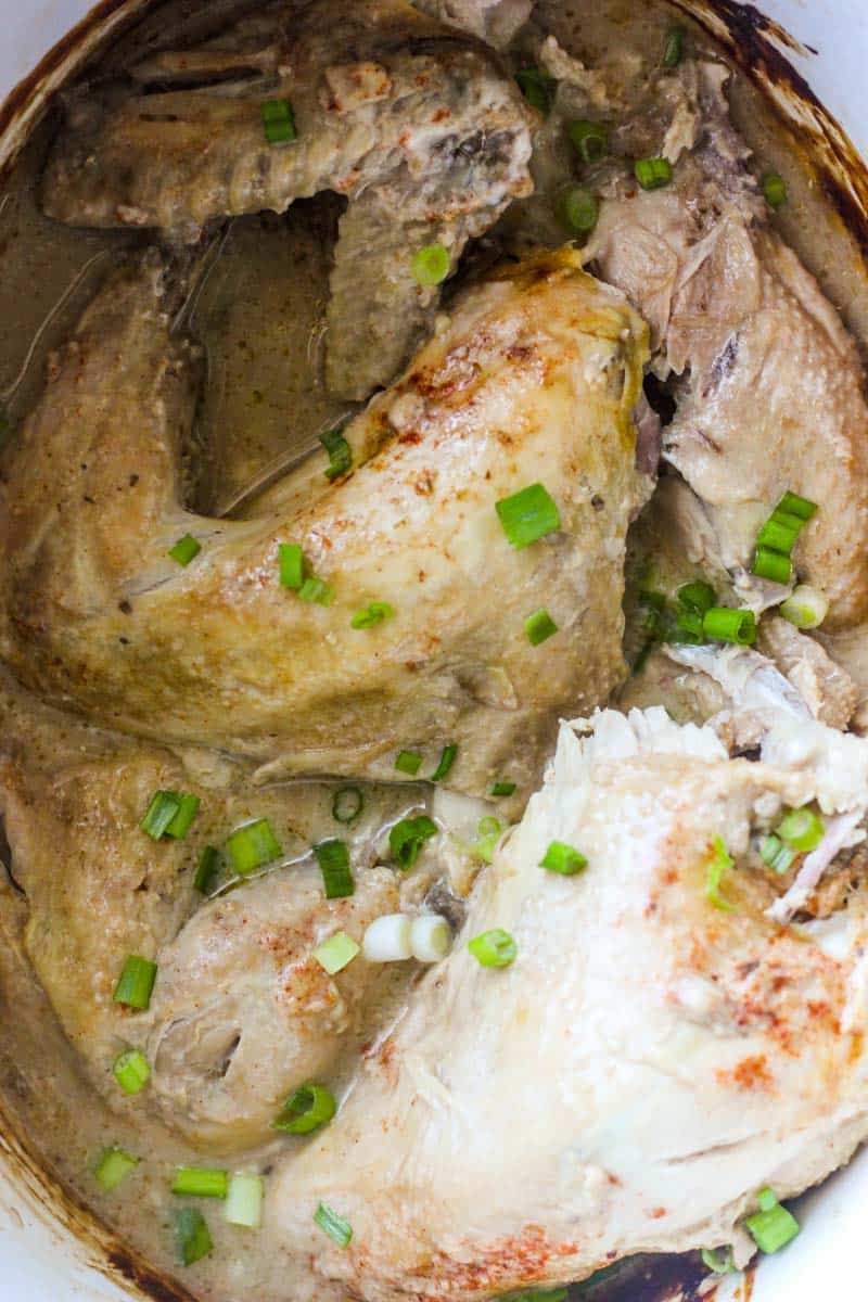 Slow cooker pheasant recipe with chopped onion
