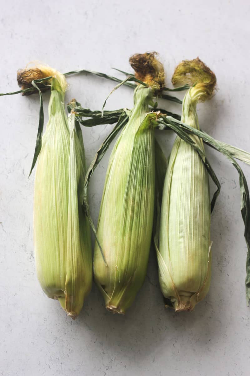 raw corn in husk