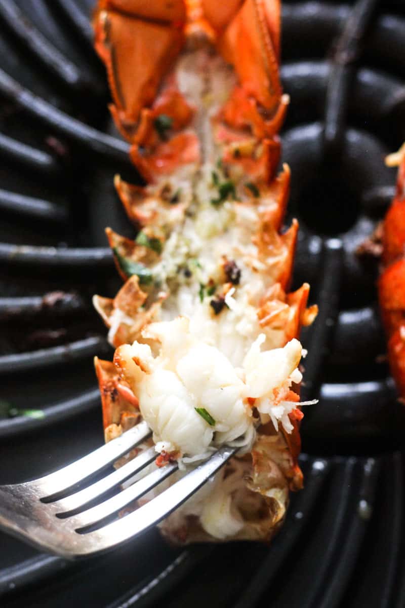 ninja foodi grilled lobster