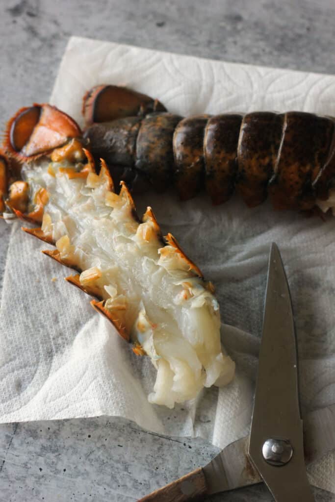 Easy Ninja Foodi Grill Lobster The Top Meal