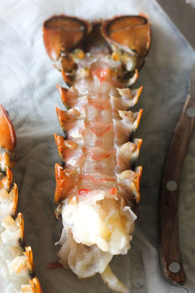 Easy Ninja Foodi Grill Lobster The Top Meal