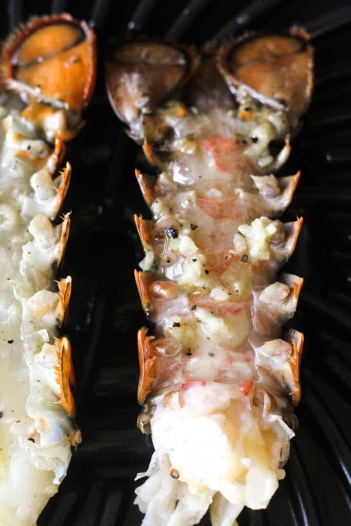 Easy Ninja Foodi Grill Lobster The Top Meal