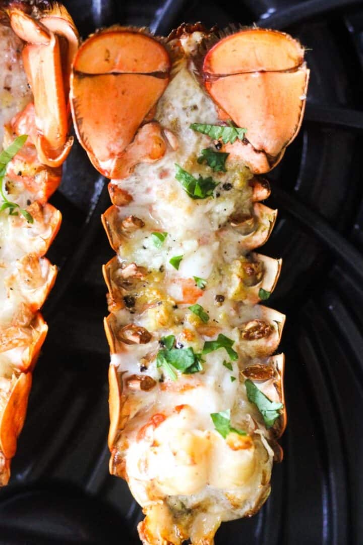 Easy Ninja Foodi Grill Lobster The Top Meal