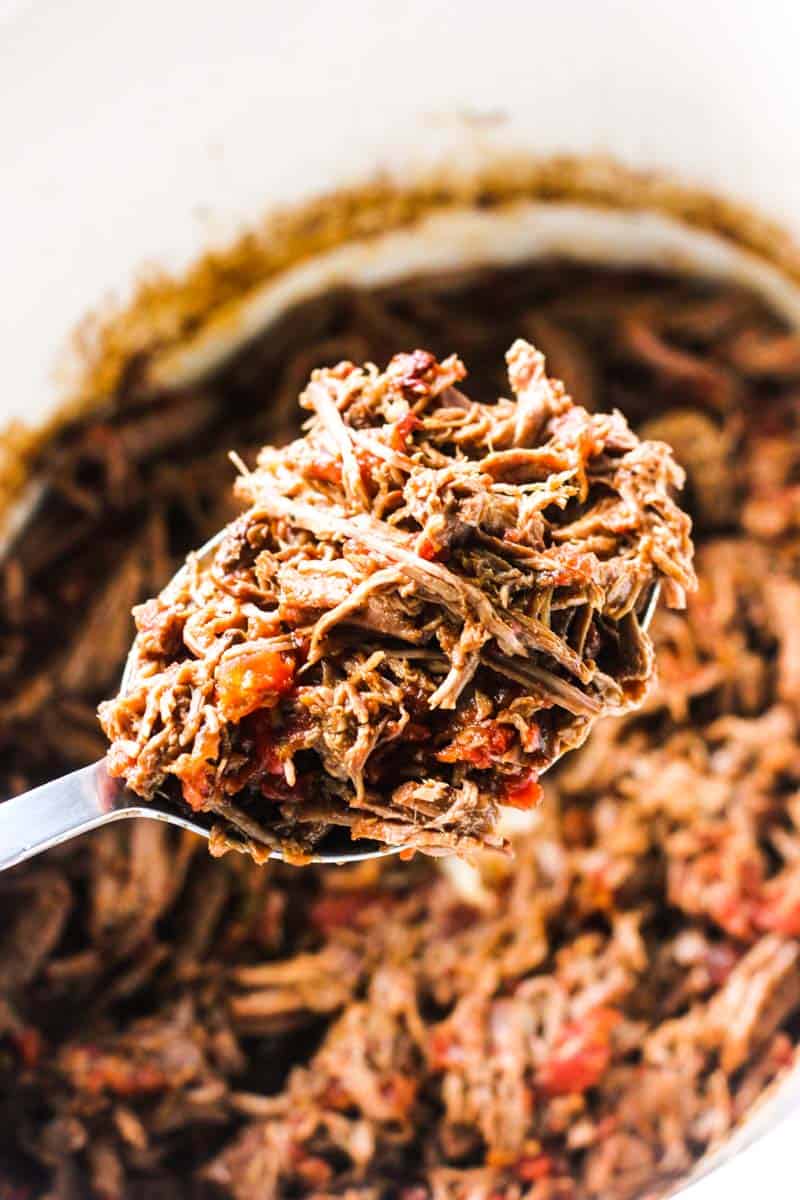 beef meat shredded on the spoon