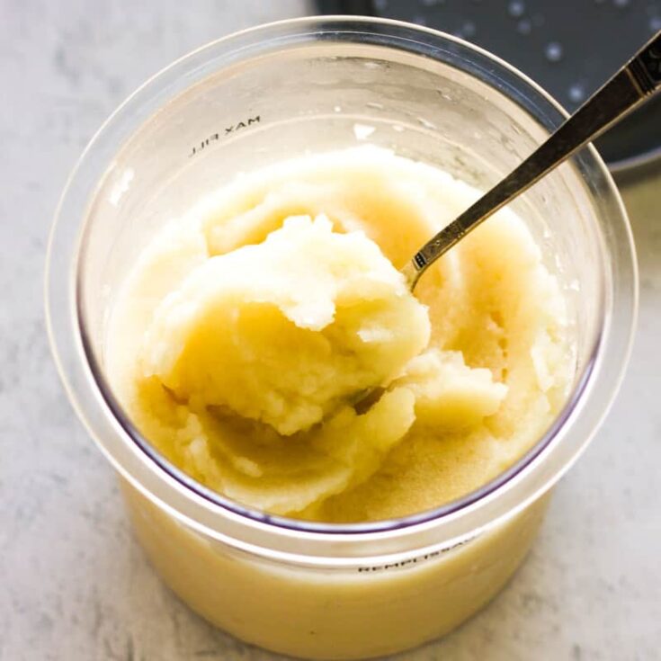 Ninja Creami Lemon Sorbet - Fork To Spoon