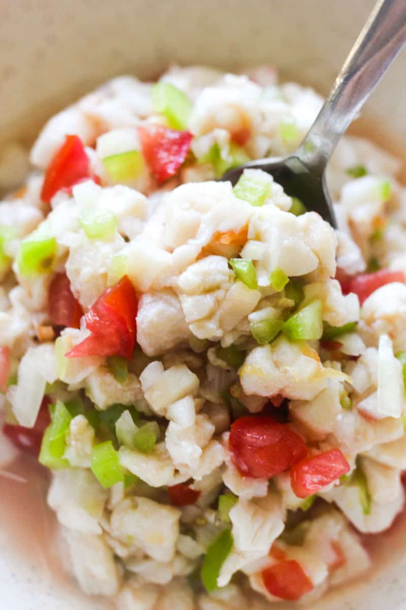 close detailed picture of bahamian conch salad