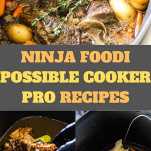 Ninja Foodi Possible Cooker Pro Mississippi pot roast - The Top Meal