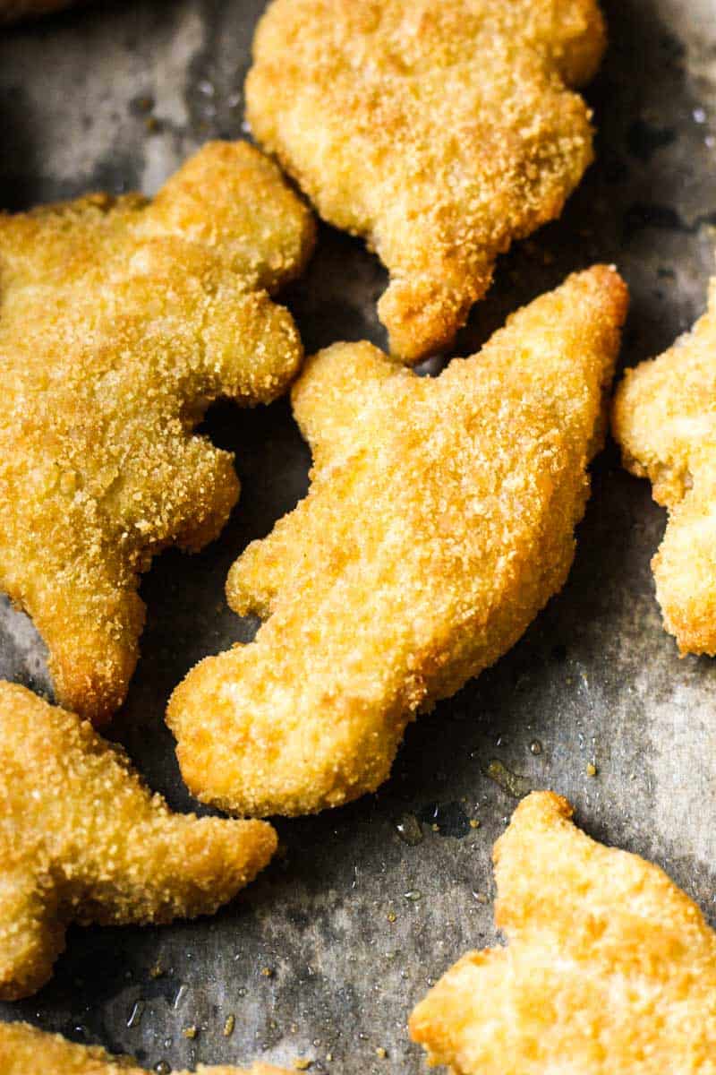 close picture of dino buddies nuggets