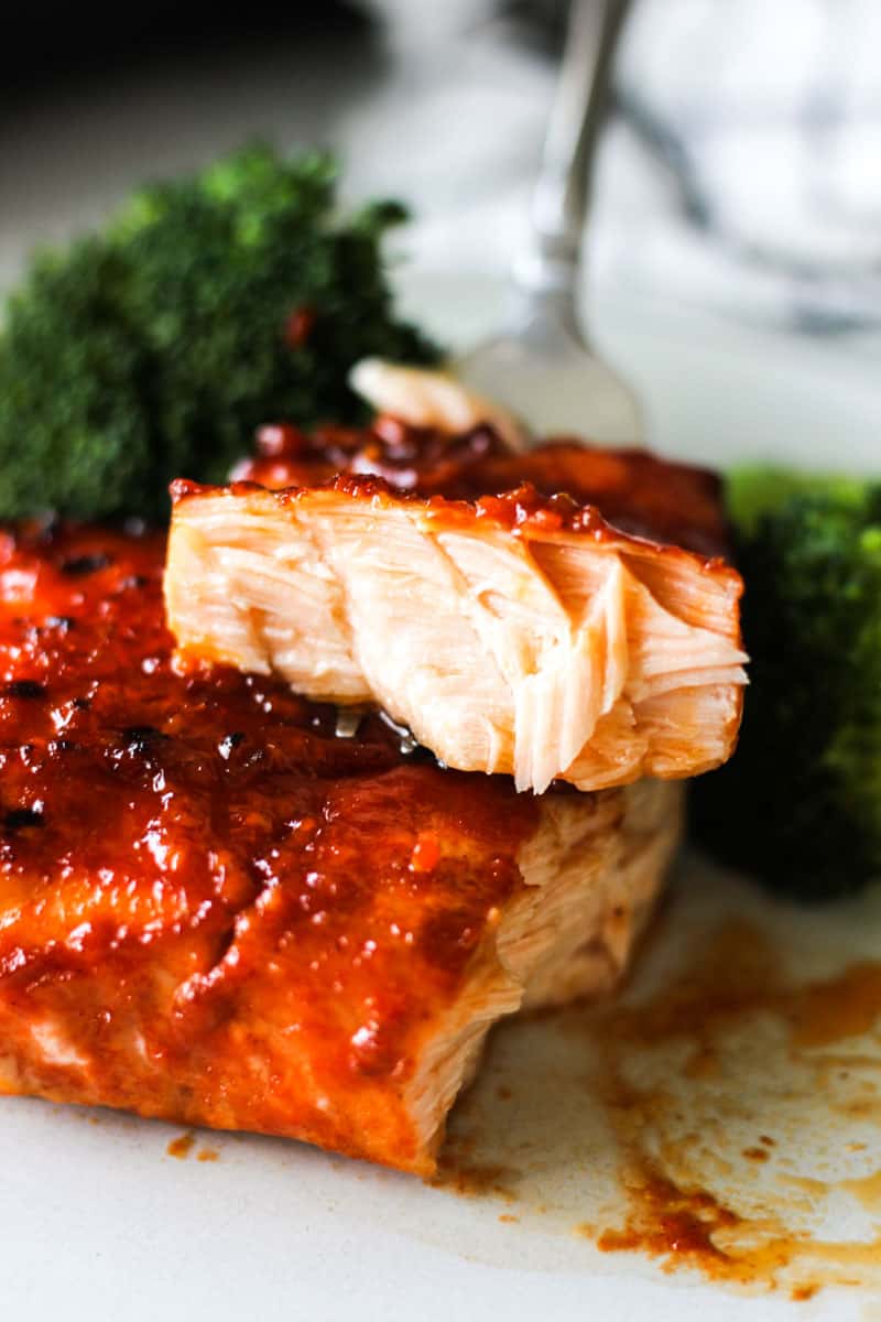gochujang sauce on top of salmon piece