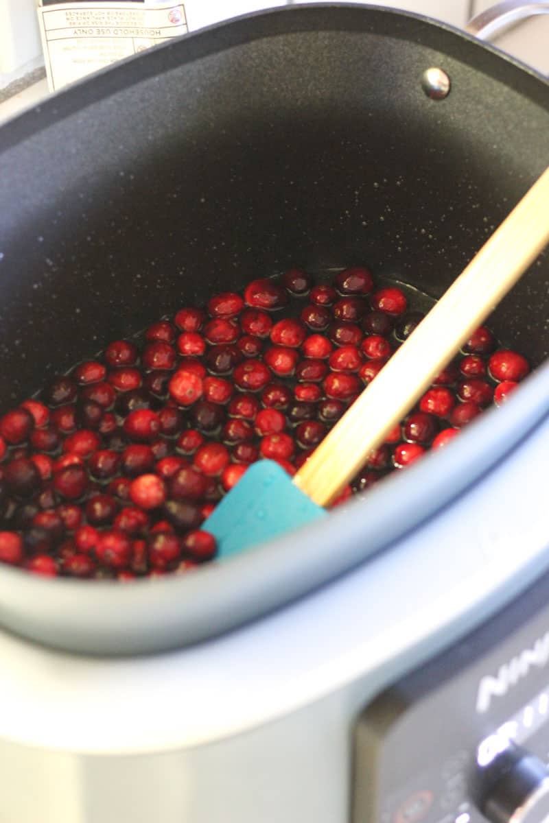 cranberries in the possible cooker pot