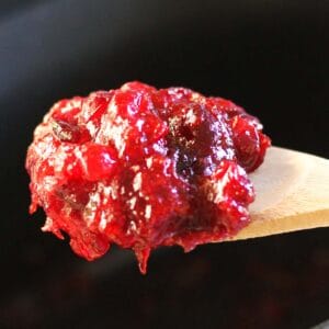 ninja foodi possible cooker pro cranberry sauce on the spoon