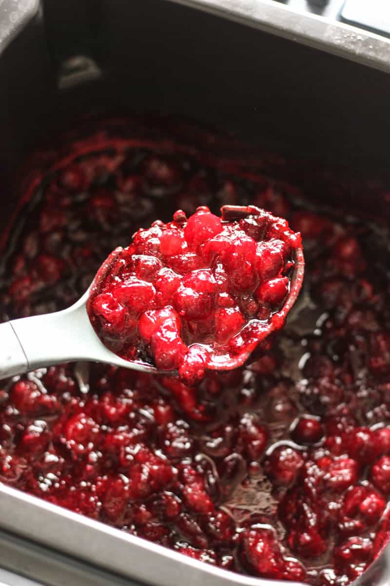 ninja speedi cranberry sauce in the ladle