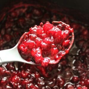 ninja speedi cranberry sauce in spoon