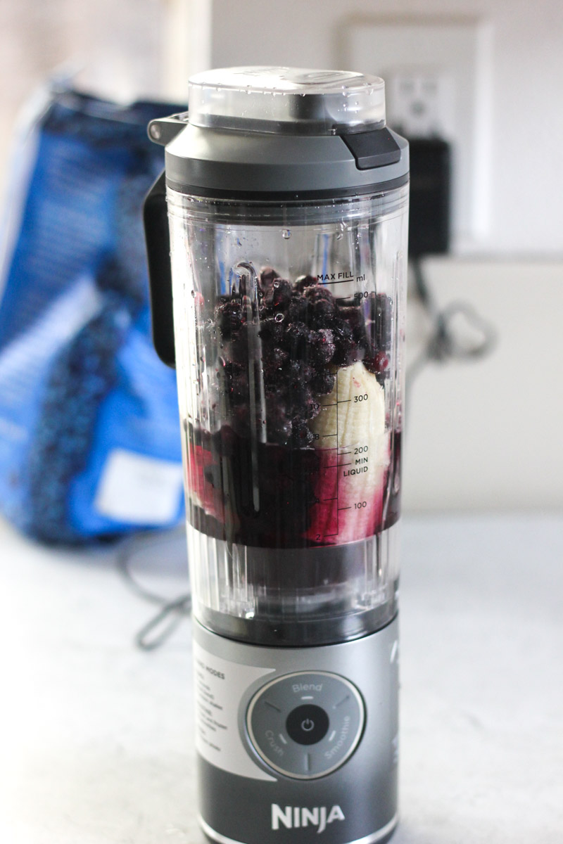 fruits in the ninja blast blender