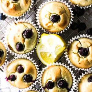 lemon blueberry muffins, top view